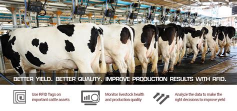 dairy rfid tags|cattle rfid systems.